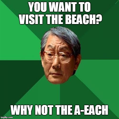 High Expectations Asian Father Meme | YOU WANT TO VISIT THE BEACH? WHY NOT THE A-EACH | image tagged in memes,high expectations asian father | made w/ Imgflip meme maker