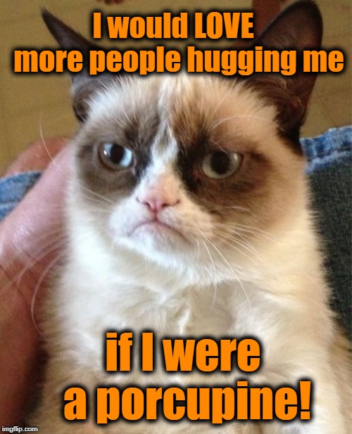 Grumpy Cat Meme | I would LOVE  more people hugging me; if I were a porcupine! | image tagged in memes,grumpy cat | made w/ Imgflip meme maker