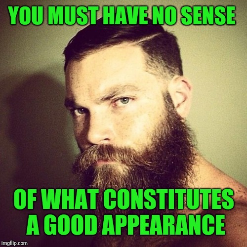 Beard | YOU MUST HAVE NO SENSE OF WHAT CONSTITUTES A GOOD APPEARANCE | image tagged in beard | made w/ Imgflip meme maker
