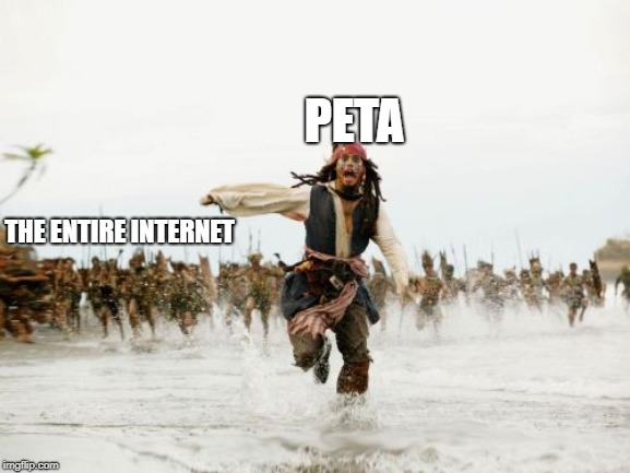 Jack Sparrow Being Chased Meme | PETA; THE ENTIRE INTERNET | image tagged in memes,jack sparrow being chased | made w/ Imgflip meme maker