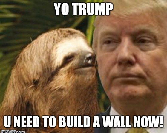 Political advice sloth | YO TRUMP; U NEED TO BUILD A WALL NOW! | image tagged in political advice sloth | made w/ Imgflip meme maker