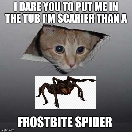 Ceiling Cat | I DARE YOU TO PUT ME IN THE TUB I'M SCARIER THAN A; FROSTBITE SPIDER | image tagged in memes,ceiling cat | made w/ Imgflip meme maker