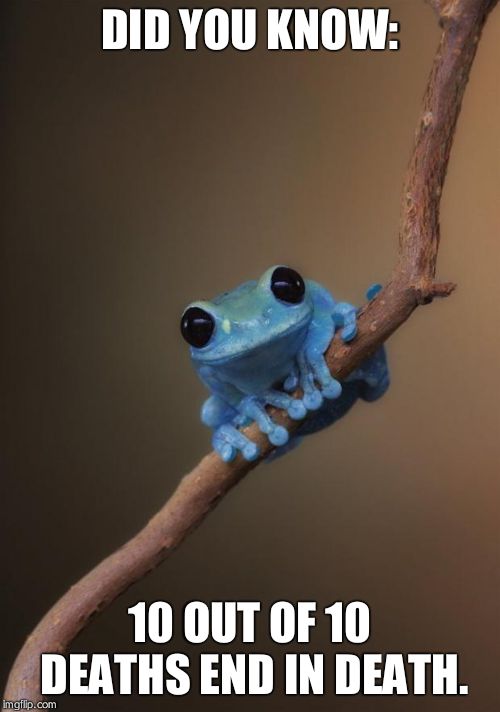 small fact frog | DID YOU KNOW:; 10 OUT OF 10 DEATHS END IN DEATH. | image tagged in small fact frog | made w/ Imgflip meme maker