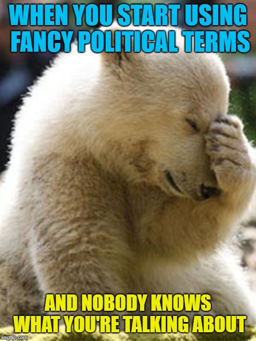 Facepalm Bear |  WHEN YOU START USING FANCY POLITICAL TERMS; AND NOBODY KNOWS WHAT YOU'RE TALKING ABOUT | image tagged in memes,facepalm bear | made w/ Imgflip meme maker