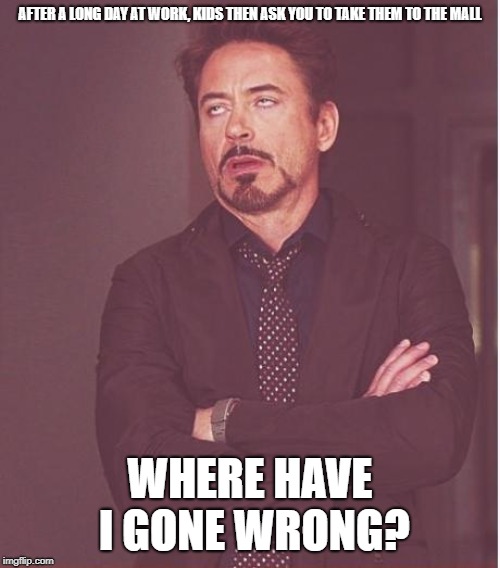 Face You Make Robert Downey Jr Meme | AFTER A LONG DAY AT WORK, KIDS THEN ASK YOU TO TAKE THEM TO THE MALL; WHERE HAVE I GONE WRONG? | image tagged in memes,face you make robert downey jr | made w/ Imgflip meme maker