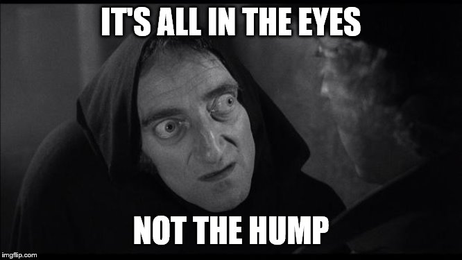 What Hump? | IT'S ALL IN THE EYES NOT THE HUMP | image tagged in what hump | made w/ Imgflip meme maker