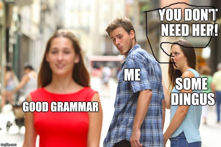 Distracted Boyfriend Meme | GOOD GRAMMAR ME SOME DINGUS YOU DON'T NEED HER! | image tagged in memes,distracted boyfriend | made w/ Imgflip meme maker