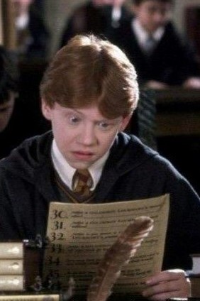 High Quality Ron Weasley Reading Blank Meme Template