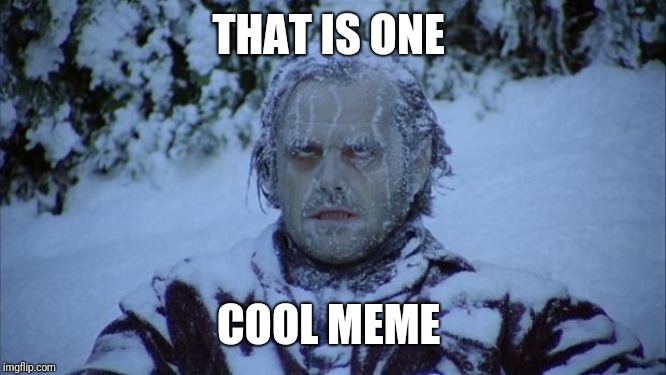 Cold | THAT IS ONE COOL MEME | image tagged in cold | made w/ Imgflip meme maker