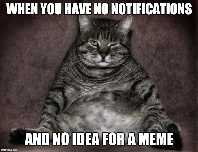 I'm bored, give me an idea for a meme. | WHEN YOU HAVE NO NOTIFICATIONS; AND NO IDEA FOR A MEME | image tagged in lazy cat | made w/ Imgflip meme maker
