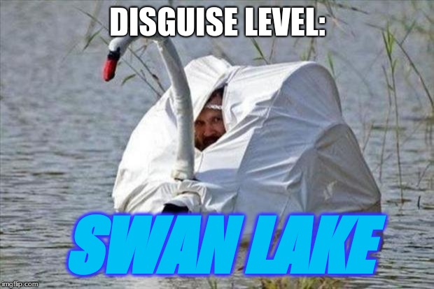Goose disguise | DISGUISE LEVEL:; SWAN LAKE | image tagged in goose disguise | made w/ Imgflip meme maker