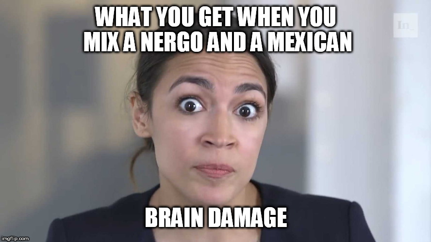 AOC Stumped | WHAT YOU GET WHEN YOU MIX A NERGO AND A MEXICAN; BRAIN DAMAGE | image tagged in aoc stumped | made w/ Imgflip meme maker