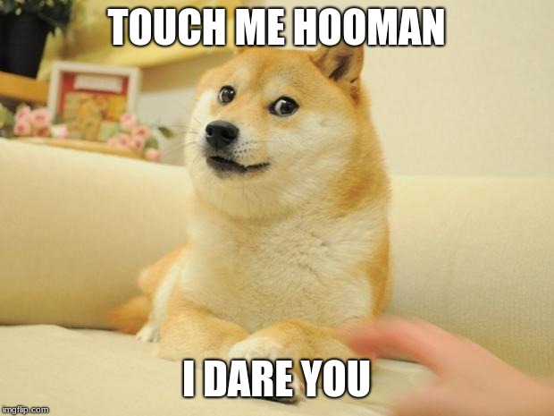 Doge 2 | TOUCH ME HOOMAN; I DARE YOU | image tagged in memes,doge 2 | made w/ Imgflip meme maker