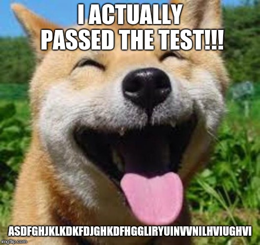 Happy Doge | I ACTUALLY PASSED THE TEST!!! ASDFGHJKLKDKFDJGHKDFHGGLIRYUINVVNILHVIUGHVI | image tagged in happy doge | made w/ Imgflip meme maker