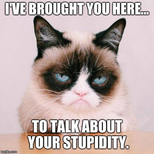 grumpy cat again | I'VE BROUGHT YOU HERE... TO TALK ABOUT YOUR STUPIDITY. | image tagged in grumpy cat again | made w/ Imgflip meme maker