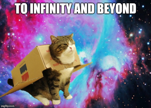 Space cat with box | TO INFINITY AND BEYOND | image tagged in space cat with box | made w/ Imgflip meme maker