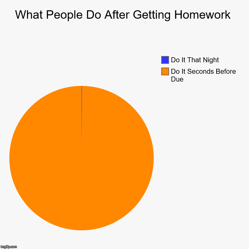 What People Do After Getting Homework | Do It Seconds Before Due, Do It That Night | image tagged in charts,pie charts | made w/ Imgflip chart maker