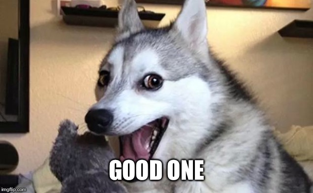 Pun dog - husky | GOOD ONE | image tagged in pun dog - husky | made w/ Imgflip meme maker