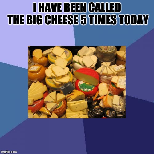 Success Kid Meme | I HAVE BEEN CALLED THE BIG CHEESE 5 TIMES TODAY | image tagged in memes,success kid | made w/ Imgflip meme maker