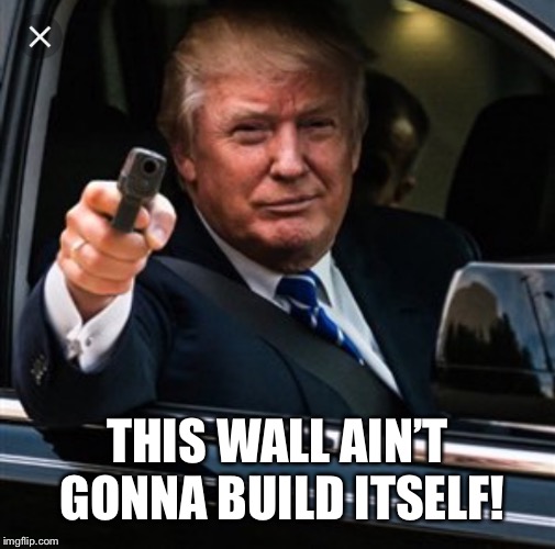Get in the car, we’re building a wall! | THIS WALL AIN’T GONNA BUILD ITSELF! | image tagged in get in the car were building a wall | made w/ Imgflip meme maker
