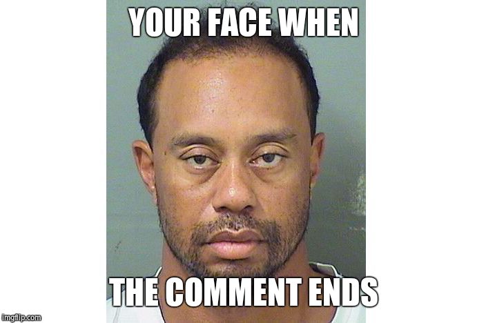 Tiger Woods DUI | YOUR FACE WHEN THE COMMENT ENDS | image tagged in tiger woods dui | made w/ Imgflip meme maker