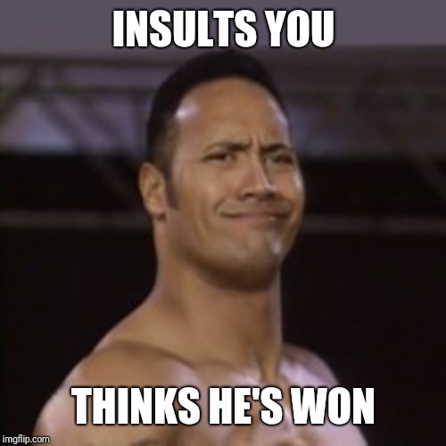 The Rock not impressed | INSULTS YOU THINKS HE'S WON | image tagged in the rock not impressed | made w/ Imgflip meme maker