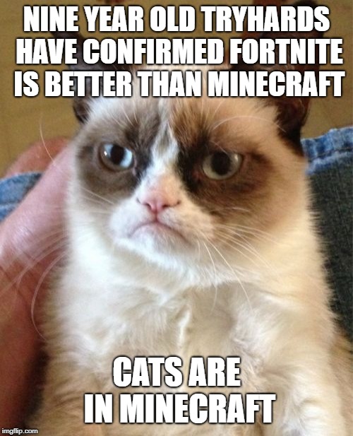 Grumpy Cat | NINE YEAR OLD TRYHARDS HAVE CONFIRMED FORTNITE IS BETTER THAN MINECRAFT; CATS ARE IN MINECRAFT | image tagged in memes,grumpy cat | made w/ Imgflip meme maker
