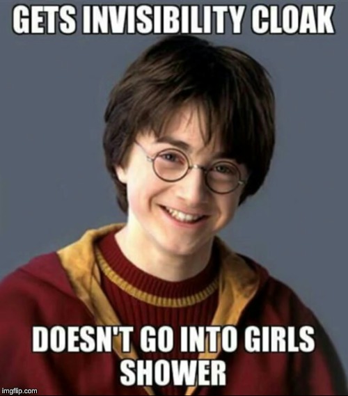 Poor Harry | image tagged in harry potter,memes,funny,invisible | made w/ Imgflip meme maker