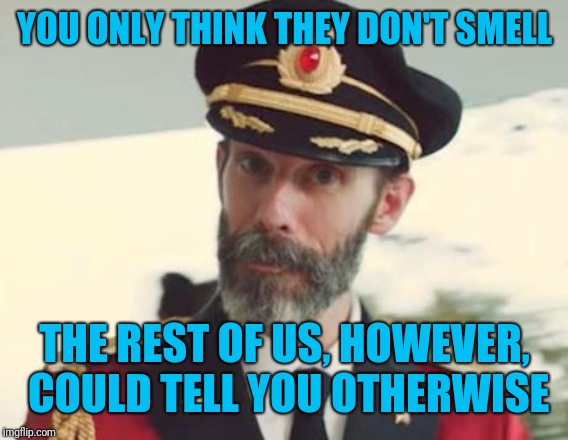 Captain Obvious | YOU ONLY THINK THEY DON'T SMELL THE REST OF US, HOWEVER, COULD TELL YOU OTHERWISE | image tagged in captain obvious | made w/ Imgflip meme maker