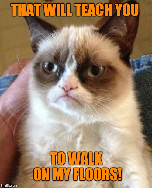 Grumpy Cat Meme | THAT WILL TEACH YOU TO WALK ON MY FLOORS! | image tagged in memes,grumpy cat | made w/ Imgflip meme maker