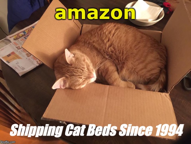 Amazon Cat Bed | amazon; Shipping Cat Beds Since 1994 | image tagged in amazon cat bed | made w/ Imgflip meme maker