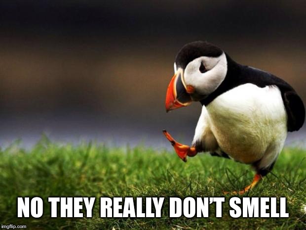 Unpopular Opinion Puffin Meme | NO THEY REALLY DON’T SMELL | image tagged in memes,unpopular opinion puffin | made w/ Imgflip meme maker