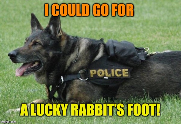 I COULD GO FOR A LUCKY RABBIT’S FOOT! | made w/ Imgflip meme maker
