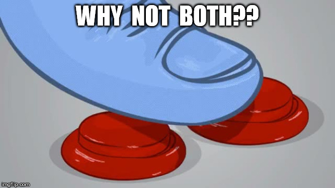 WHY  NOT  BOTH?? | made w/ Imgflip meme maker