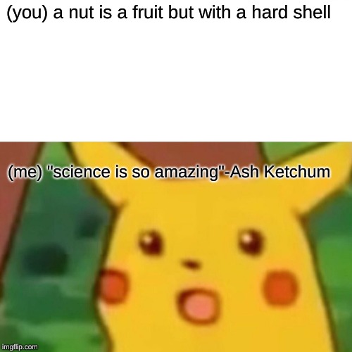 Surprised Pikachu | (you) a nut is a fruit but with a hard shell; (me) "science is so amazing"-Ash Ketchum | image tagged in memes,surprised pikachu | made w/ Imgflip meme maker