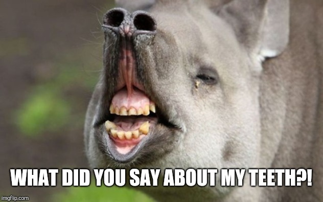 WHAT DID YOU SAY ABOUT MY TEETH?! | image tagged in ugly | made w/ Imgflip meme maker
