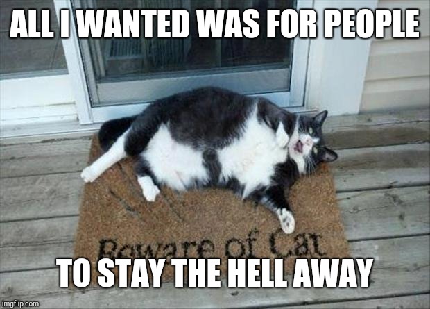 ALL I WANTED WAS FOR PEOPLE; TO STAY THE HELL AWAY | image tagged in fat cat | made w/ Imgflip meme maker