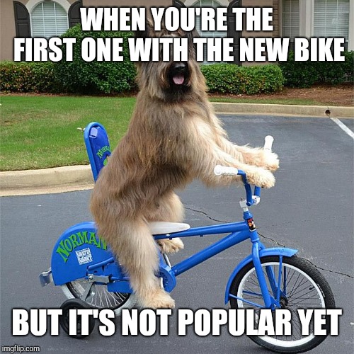 WHEN YOU'RE THE FIRST ONE WITH THE NEW BIKE; BUT IT'S NOT POPULAR YET | image tagged in doge,bike | made w/ Imgflip meme maker