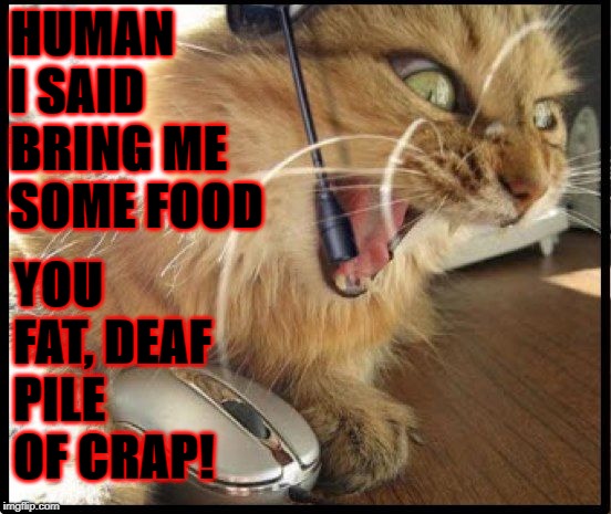 LAZY DEAF TURD | YOU FAT, DEAF PILE OF CRAP! HUMAN I SAID BRING ME SOME FOOD | image tagged in lazy deaf turd | made w/ Imgflip meme maker