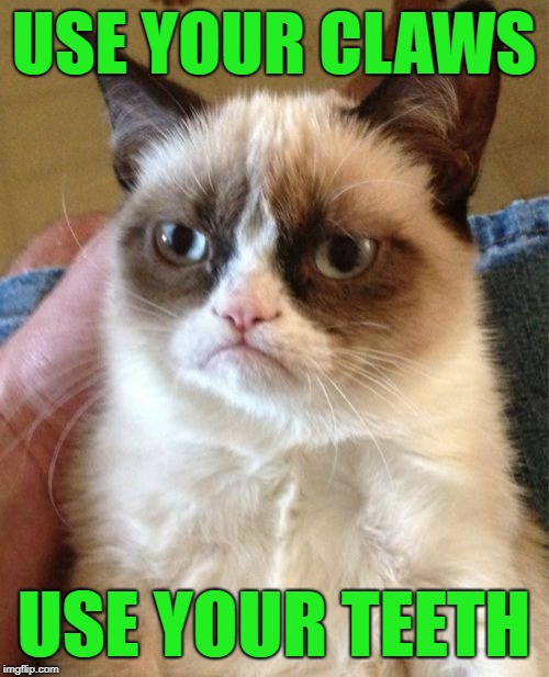 Grumpy Cat Meme | USE YOUR CLAWS USE YOUR TEETH | image tagged in memes,grumpy cat | made w/ Imgflip meme maker