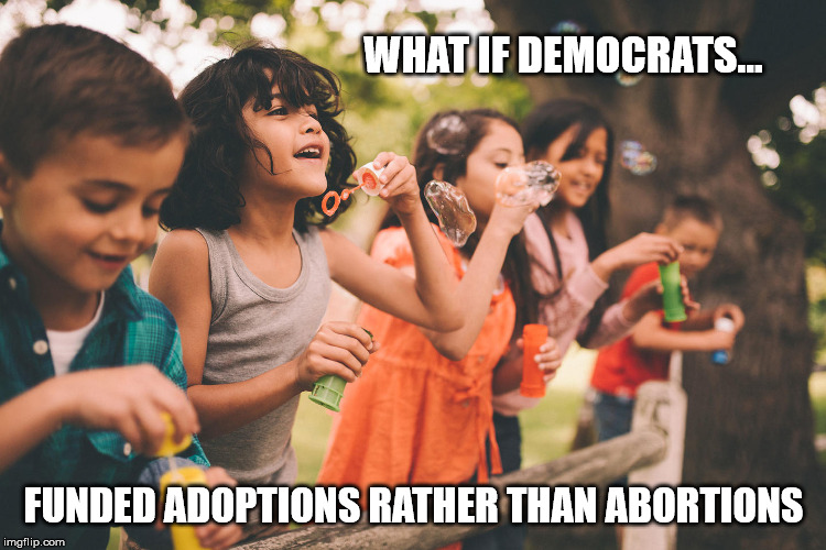 Planned Parenthood Abortions | WHAT IF DEMOCRATS... FUNDED ADOPTIONS RATHER THAN ABORTIONS | image tagged in planned parenthood,abortion,adoption,liberals,kids | made w/ Imgflip meme maker