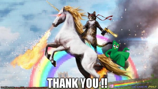 Epic Rainbow Unicorn Cat | THANK YOU !! | image tagged in epic rainbow unicorn cat | made w/ Imgflip meme maker