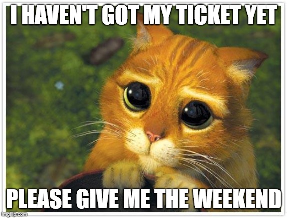 Shrek Cat | I HAVEN'T GOT MY TICKET YET; PLEASE GIVE ME THE WEEKEND | image tagged in memes,shrek cat | made w/ Imgflip meme maker