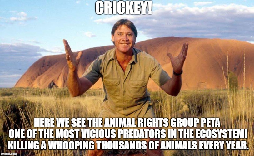 CRICKEY! HERE WE SEE THE ANIMAL RIGHTS GROUP PETA ONE OF THE MOST VICIOUS PREDATORS IN THE ECOSYSTEM! KILLING A WHOOPING THOUSANDS OF ANIMAL | image tagged in steve irwin crocodile hunter | made w/ Imgflip meme maker