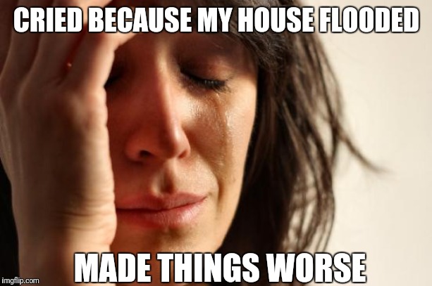 Cry Me A River | CRIED BECAUSE MY HOUSE FLOODED; MADE THINGS WORSE | image tagged in memes,first world problems | made w/ Imgflip meme maker