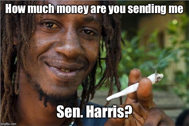 Jamaican | How much money are you sending me Sen. Harris? | image tagged in jamaican | made w/ Imgflip meme maker