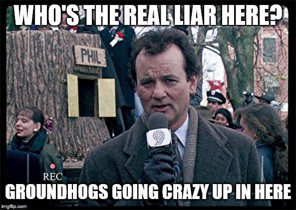Groundhog Day | WHO'S THE REAL LIAR HERE? GROUNDHOGS GOING CRAZY UP IN HERE | image tagged in groundhog day | made w/ Imgflip meme maker