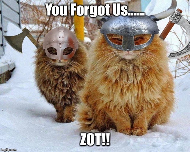 Viking Cats | You Forgot Us...... ZOT!! | image tagged in viking cats | made w/ Imgflip meme maker