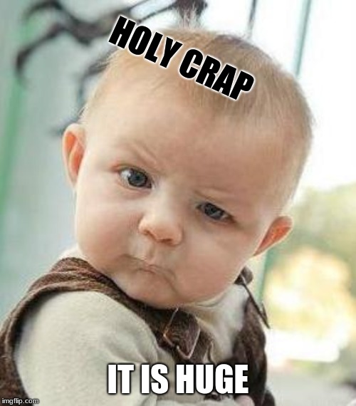 Confused Baby | HOLY CRAP; IT IS HUGE | image tagged in confused baby | made w/ Imgflip meme maker