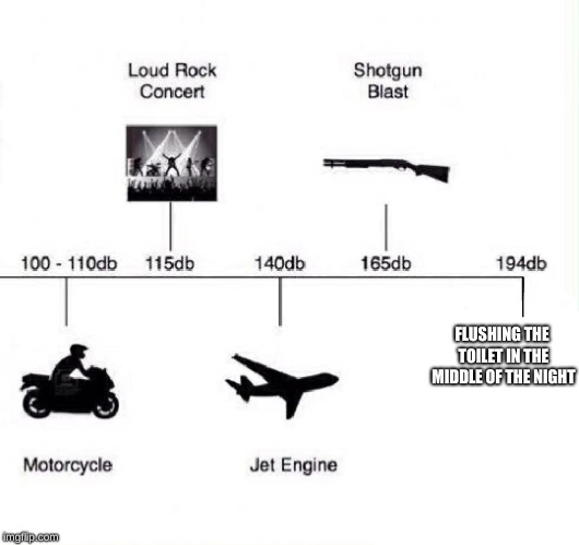 Decibel noise |  FLUSHING THE TOILET IN THE MIDDLE OF THE NIGHT | image tagged in decibel noise | made w/ Imgflip meme maker